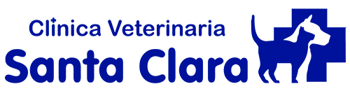 clínica veterinaria en Valladolid