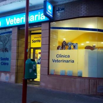 Clínica veterinaria en Valladolid