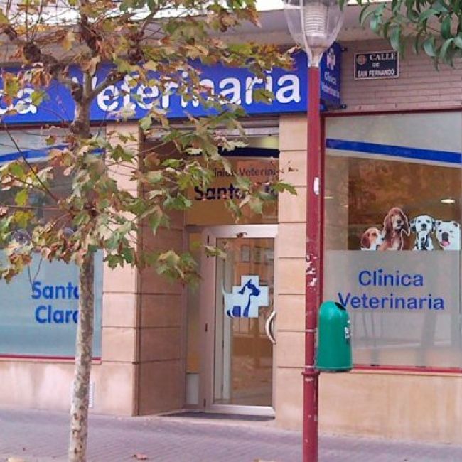 clínica veterinaria en Valladolid