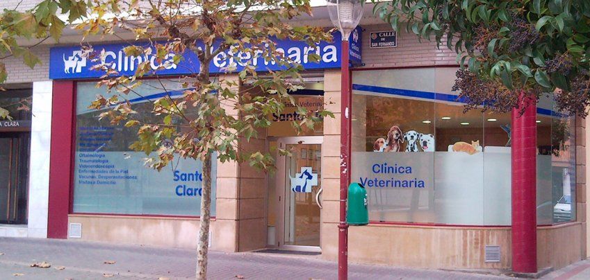 clínica veterinaria en Valladolid