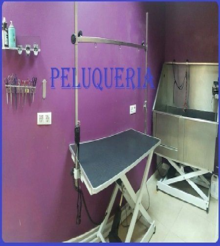 SERVICIO DE PELUQUERÍA