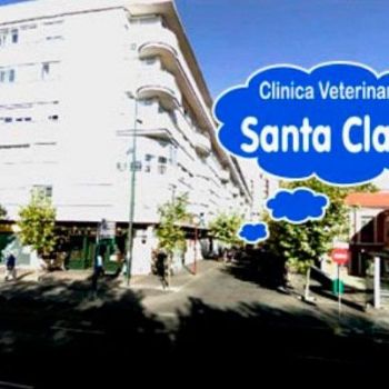 Clínica veterinaria en Valladolid