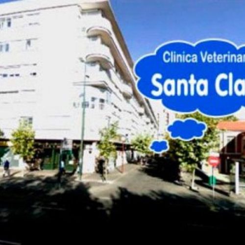 Clínica veterinaria en Valladolid