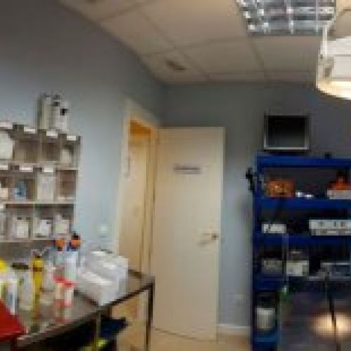 Clínica veterinaria en Valladolid