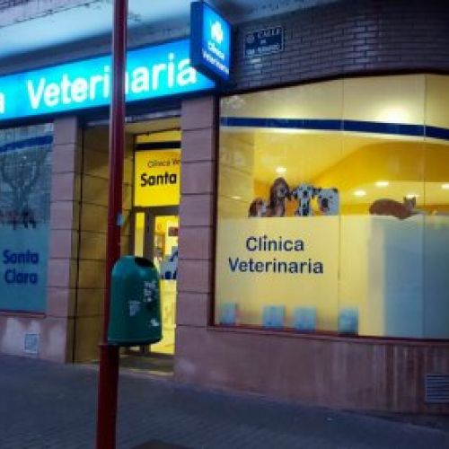 Clínica veterinaria en Valladolid