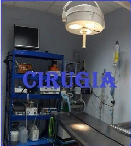 CIRUGÍA